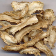 dongquairoot-1