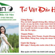 TU VAT DAO HONG