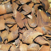 hau-phac