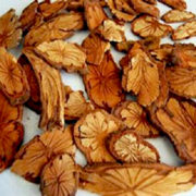 DẠ GIAO ĐẰNG