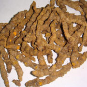 HOÀNG LIÊN