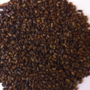 duoc-lieu-thao-quyet-minh