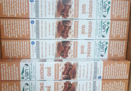 75540243_810137219403215_4252281441406156800_n